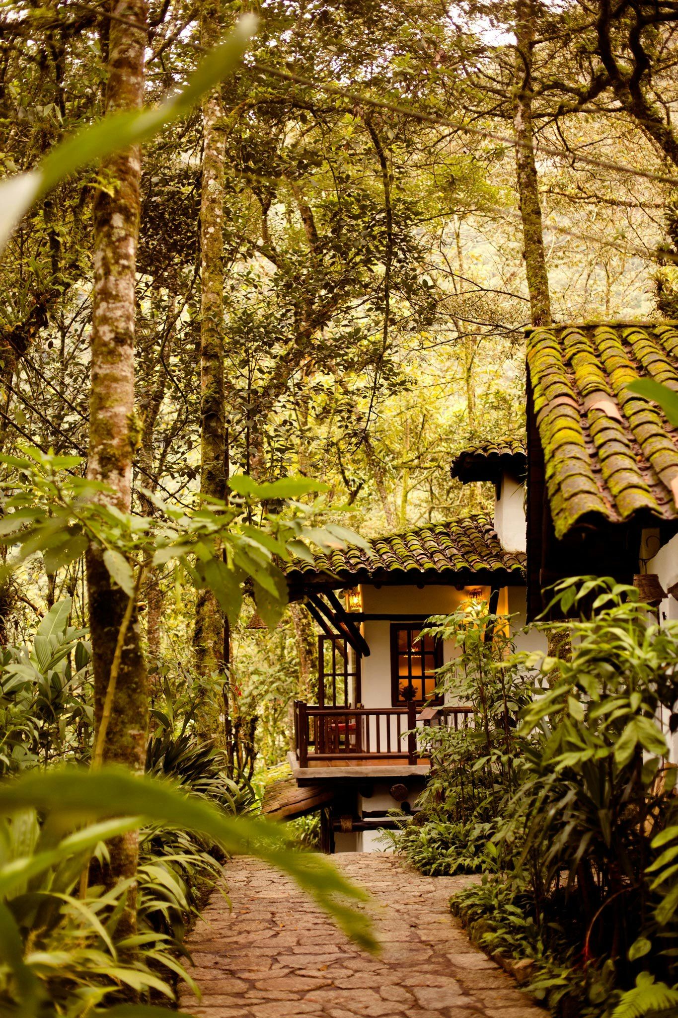 Outdoor view