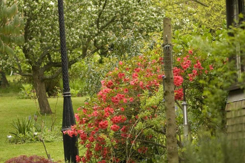 Outdoor view