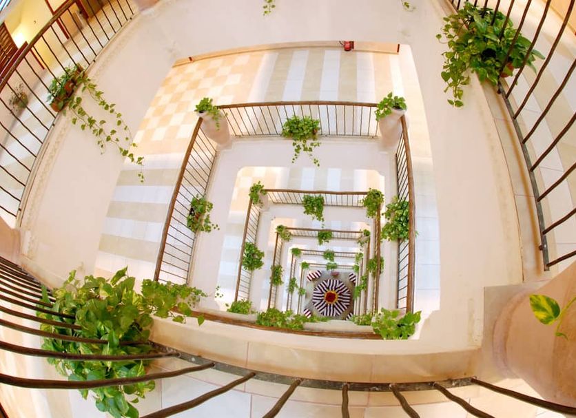 Stairs Photo