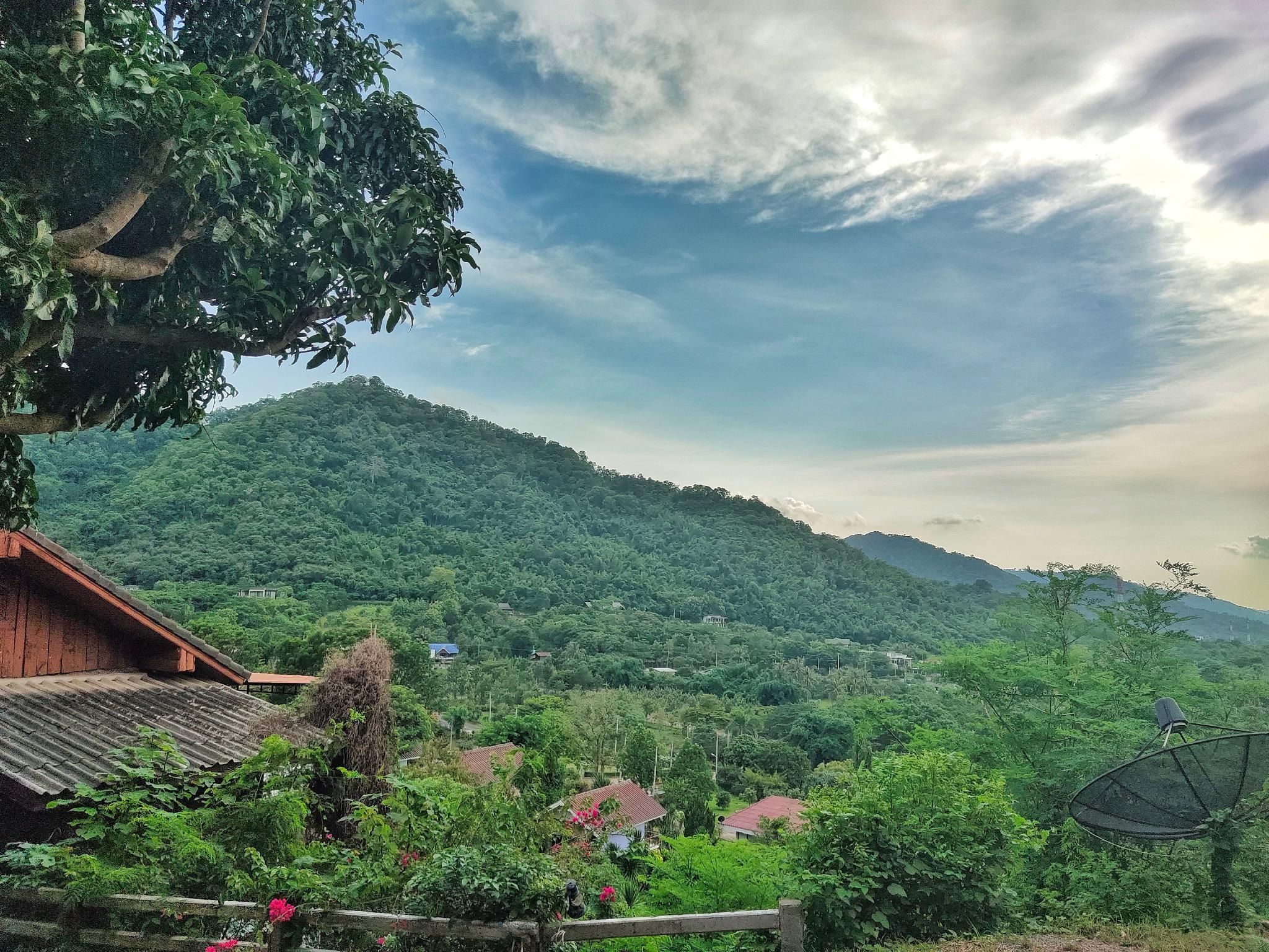 Outdoor view