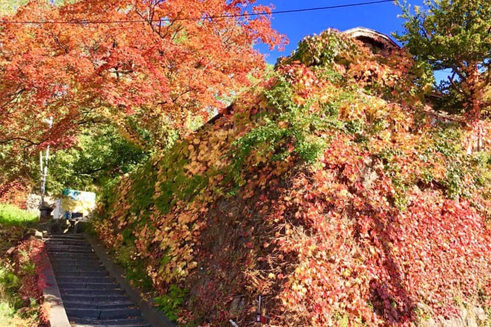 Outdoor view