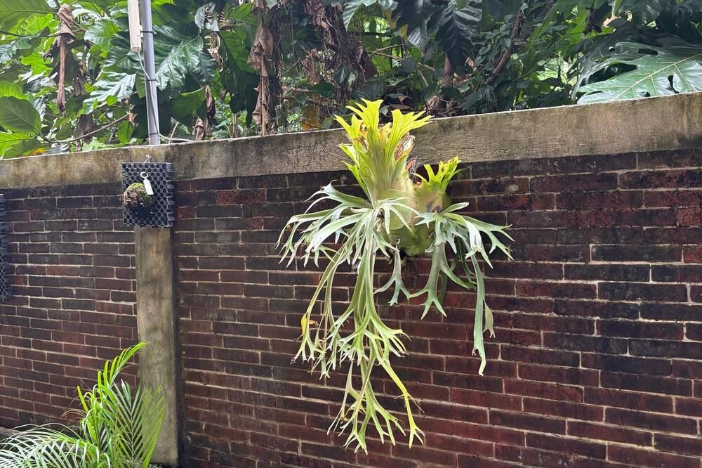 Outdoor view
