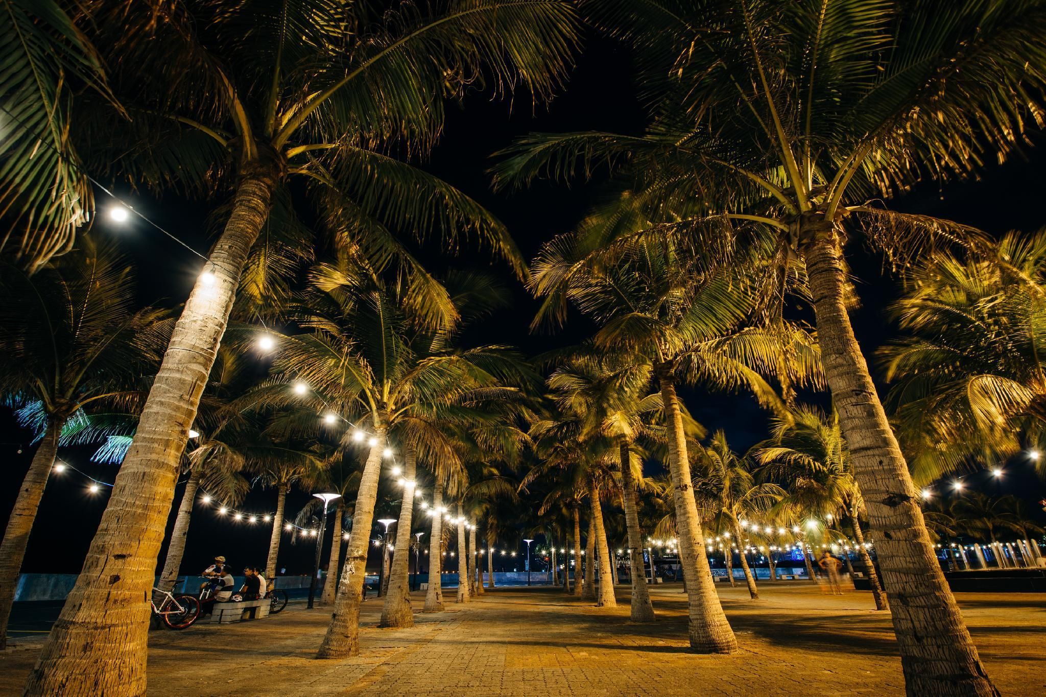 Outdoor view