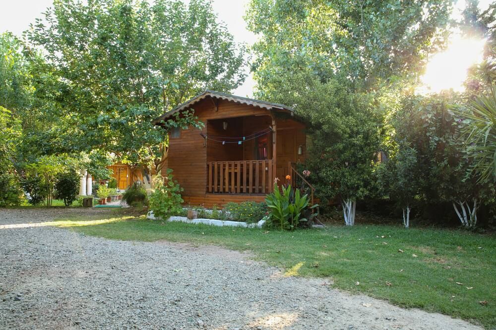 Outdoor view