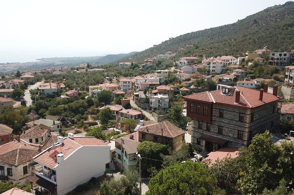 Outdoor view