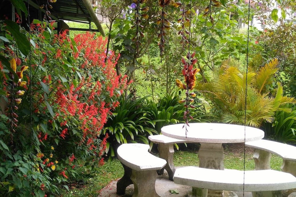 Outdoor view