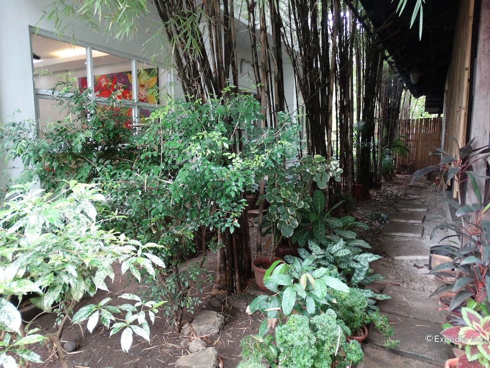 Outdoor view