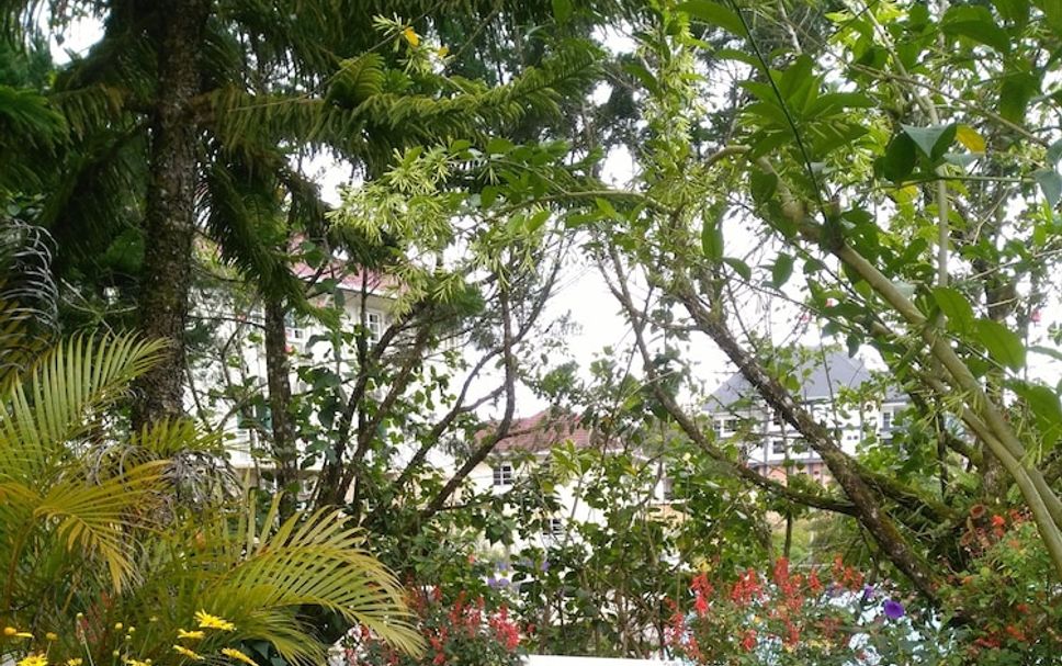 Outdoor view Photo