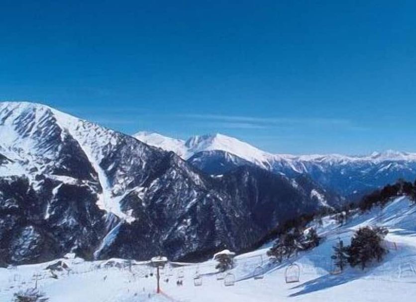 Other Photo