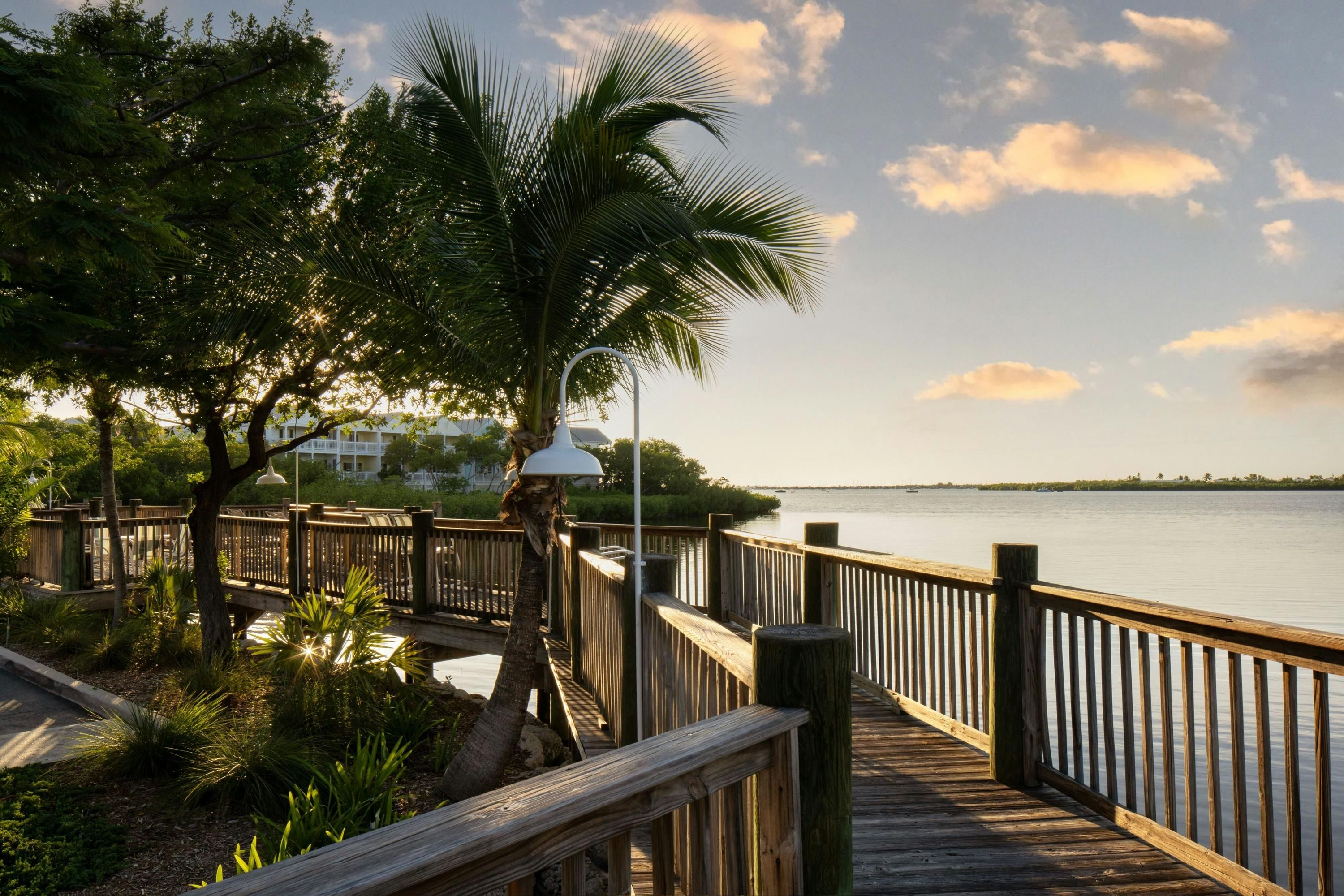 Outdoor view