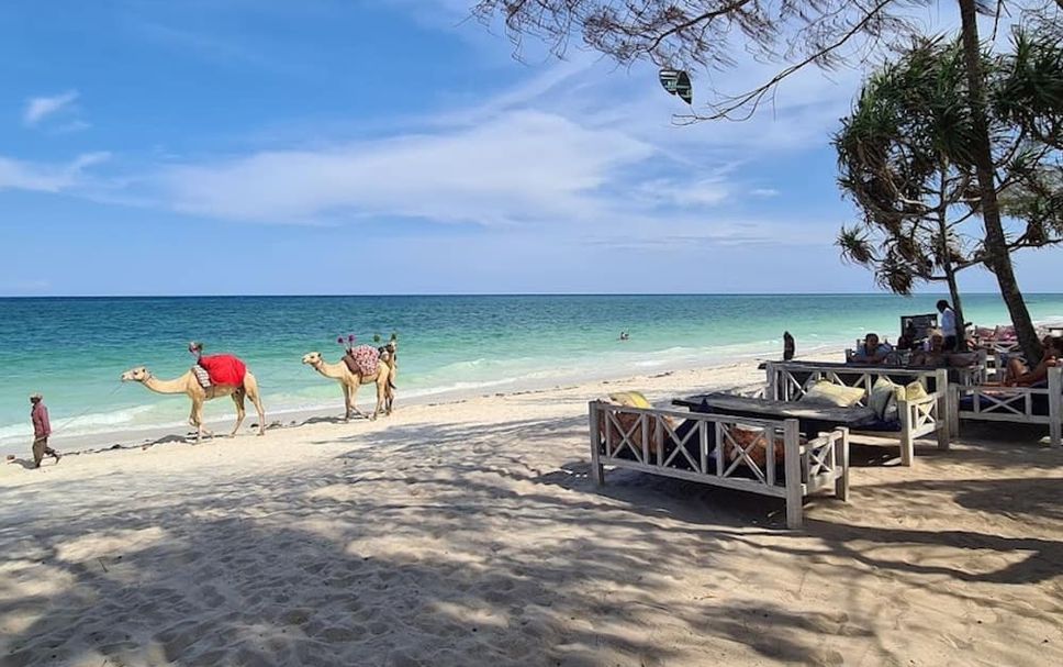 Beach Photo