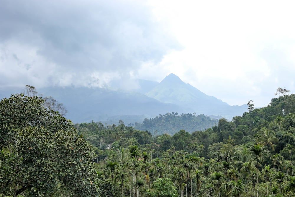 Outdoor view