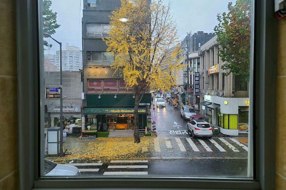 Outdoor view