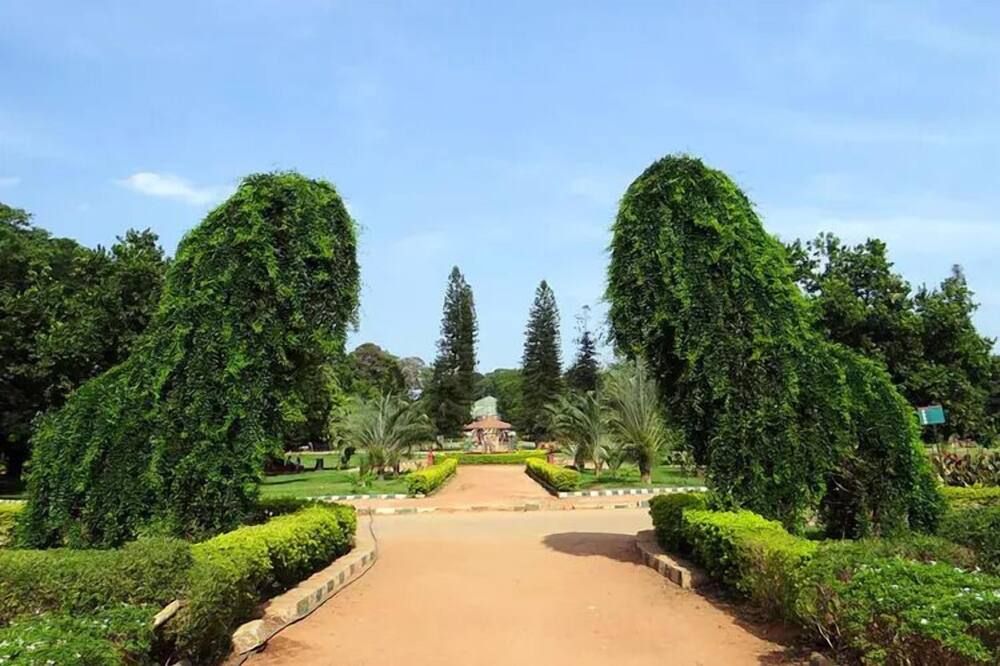 Outdoor view