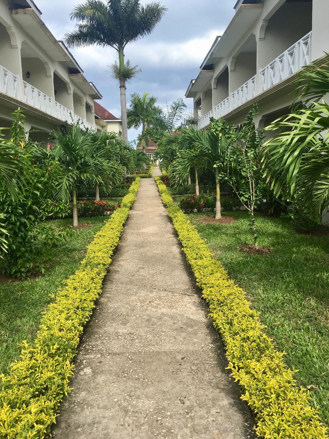 Outdoor view