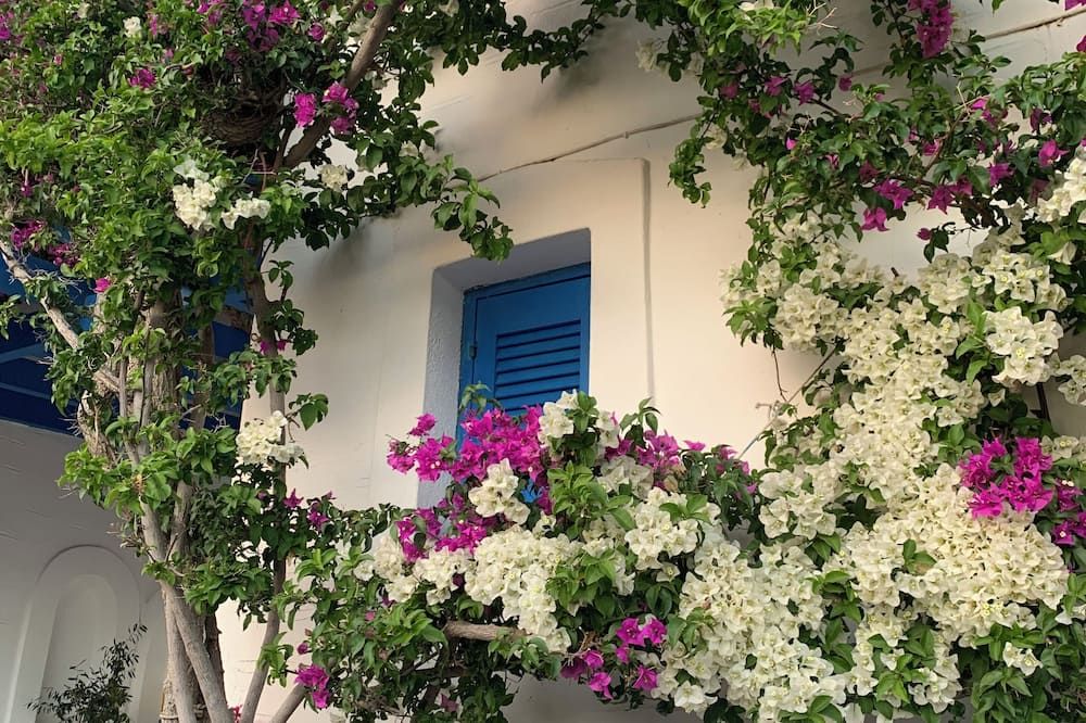 Outdoor view