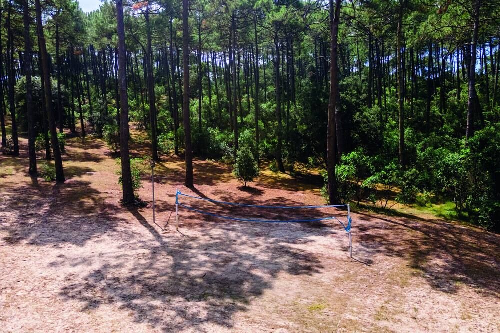 Outdoor view