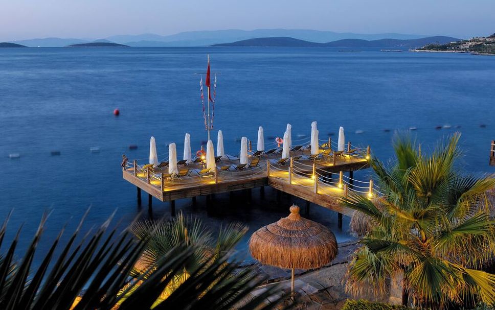 Other Photo