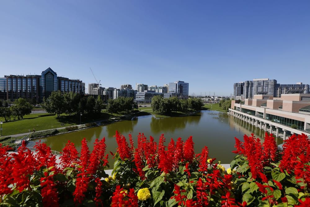 Outdoor view