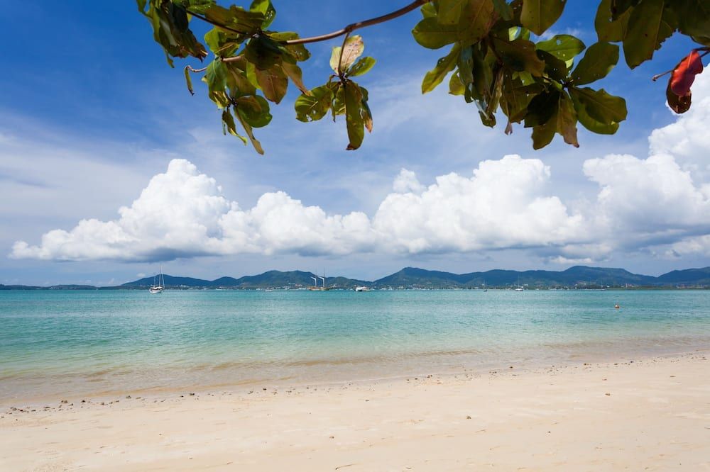 Beach Photo