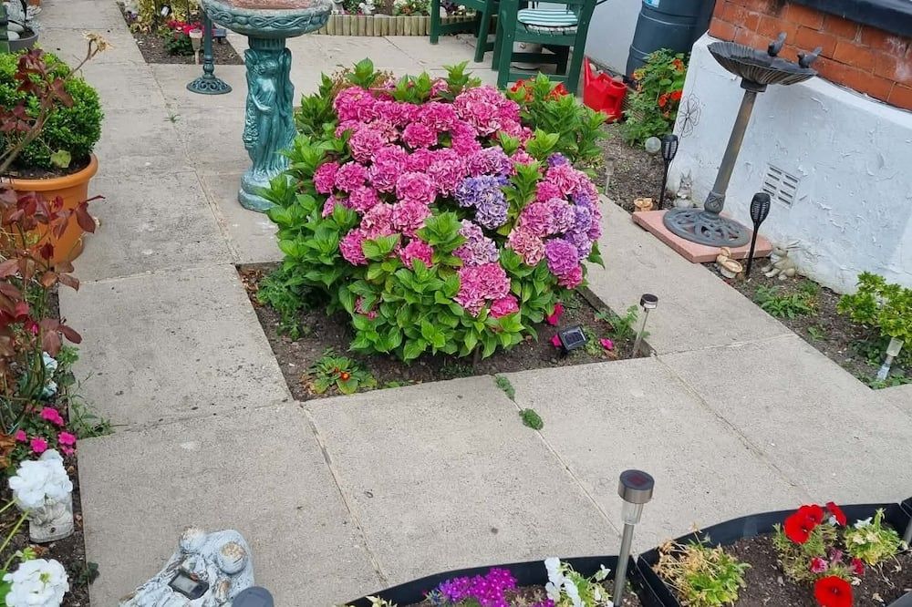 Outdoor view