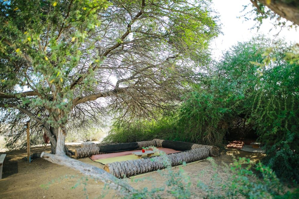 Outdoor view