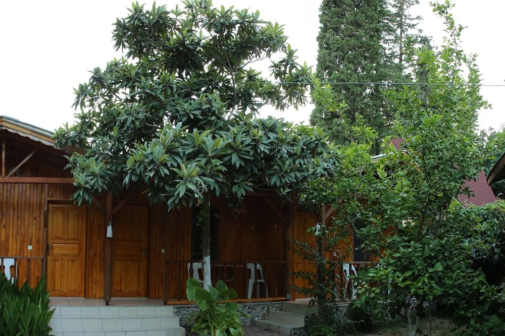 Outdoor view