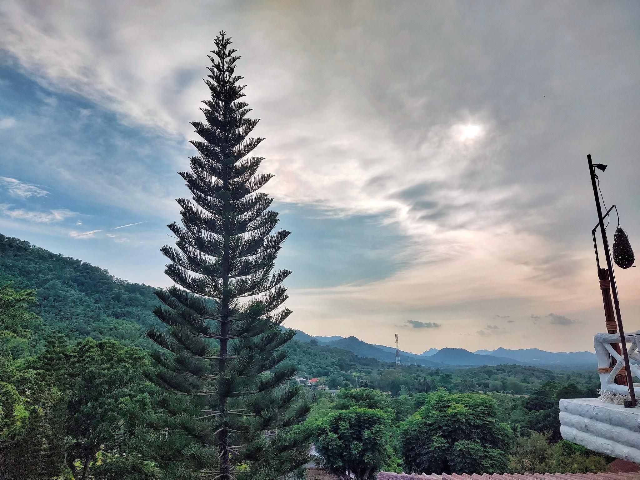 Outdoor view