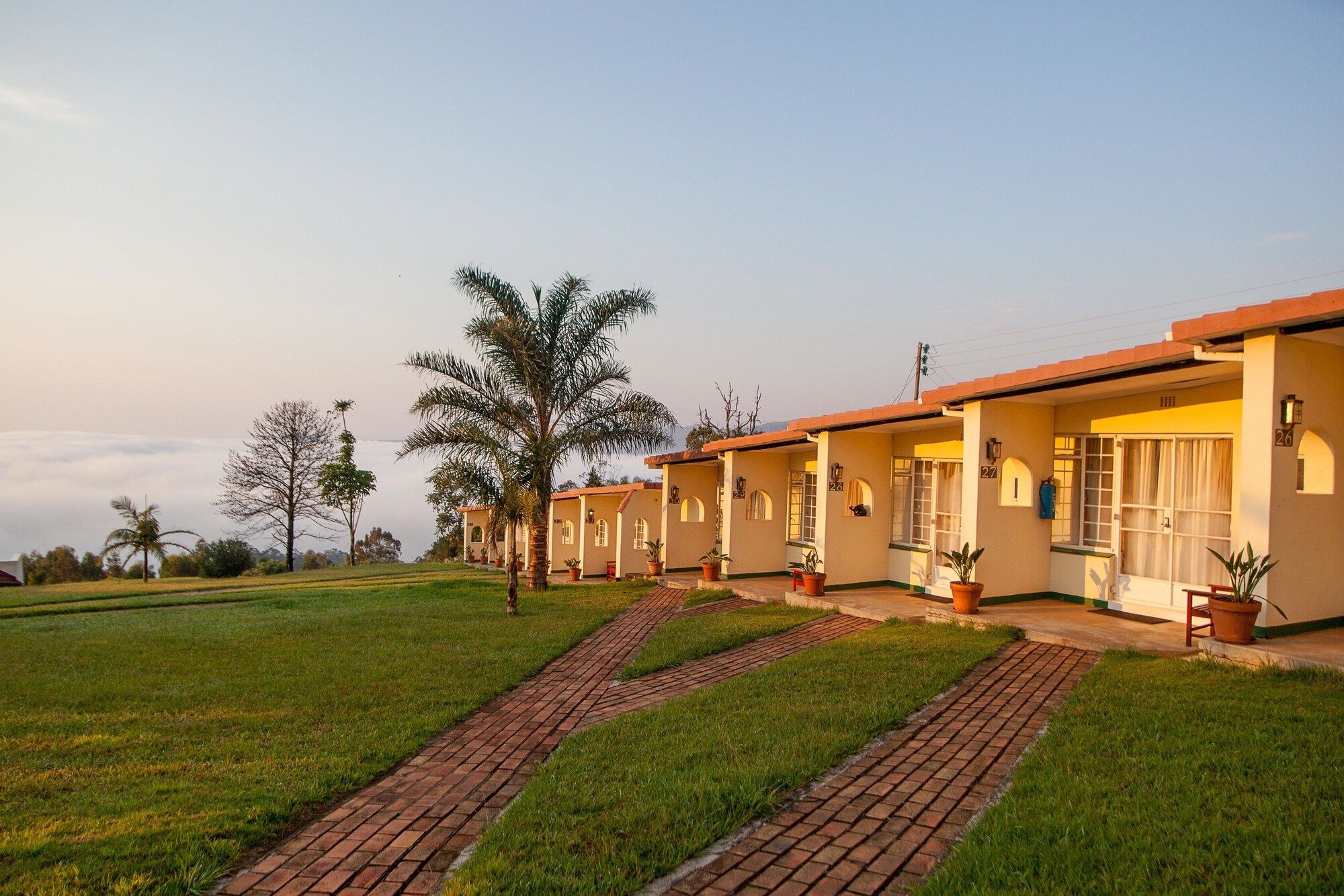 Outdoor view