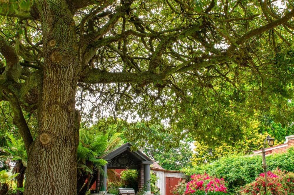 Outdoor view