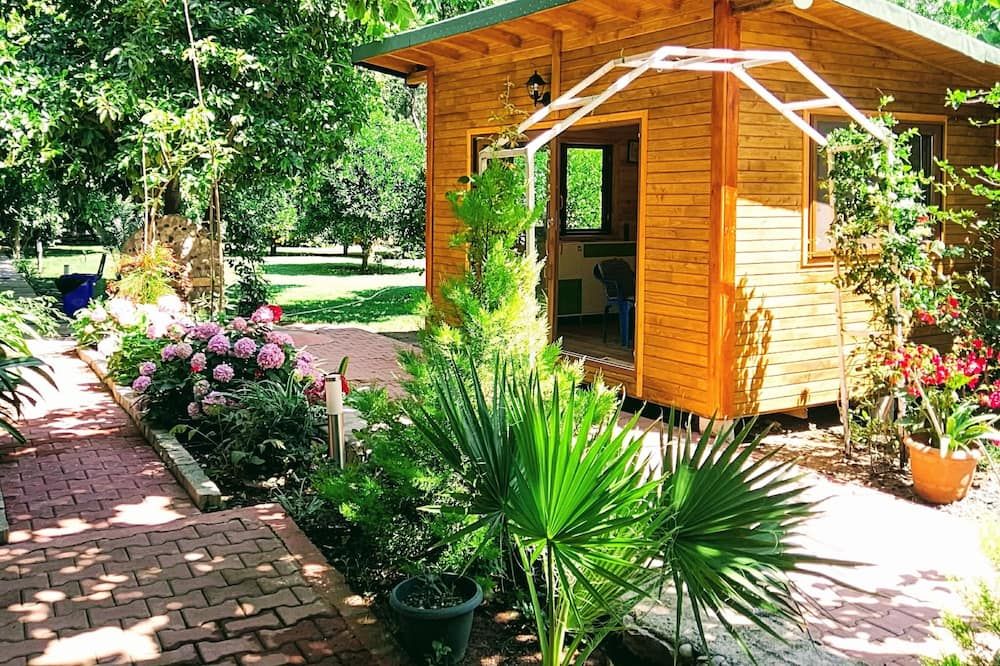 Outdoor view