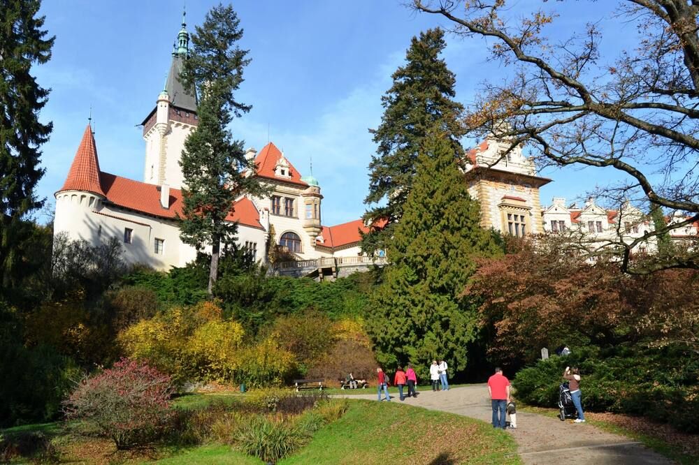 Other Photo