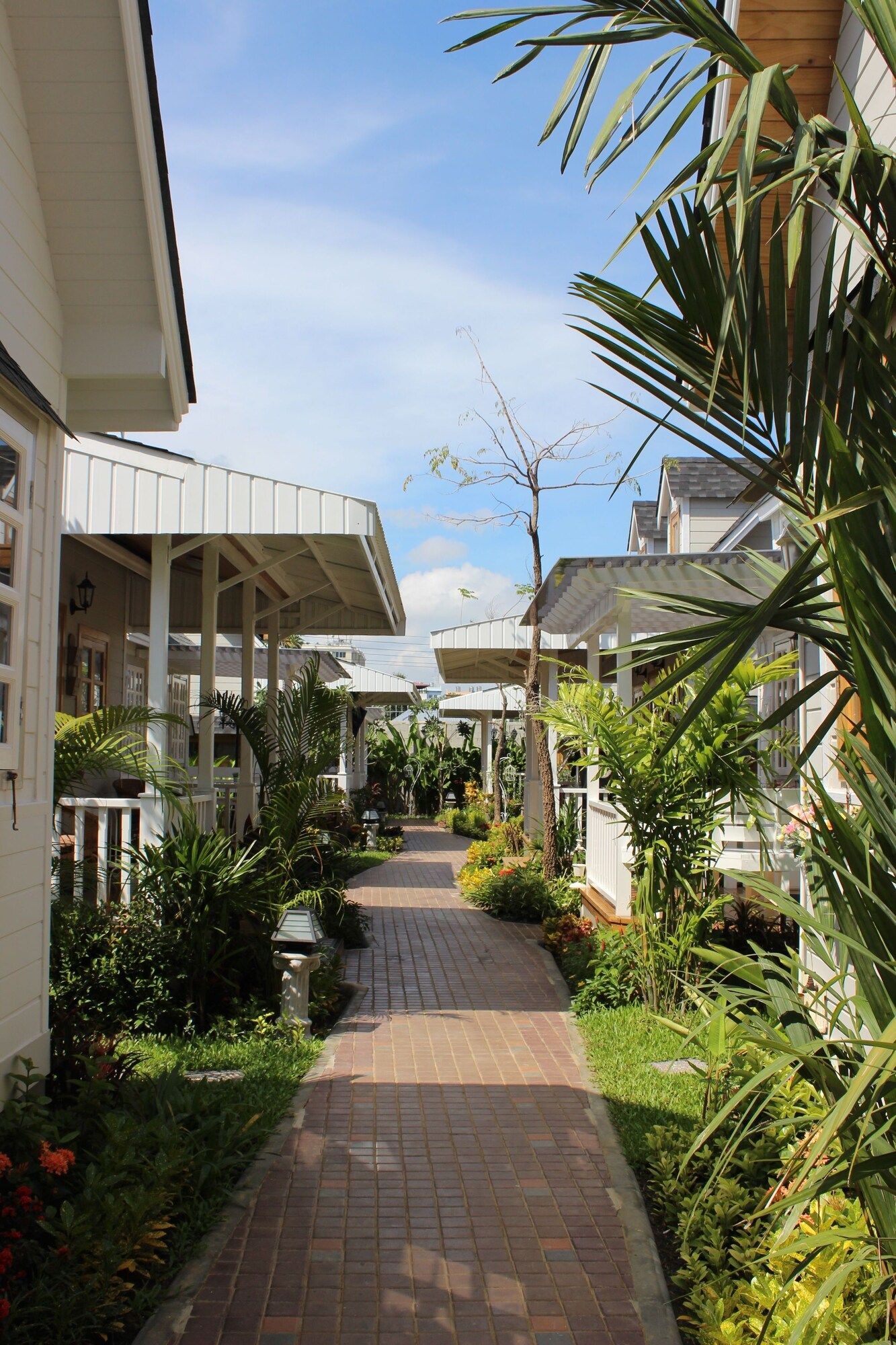 Outdoor view