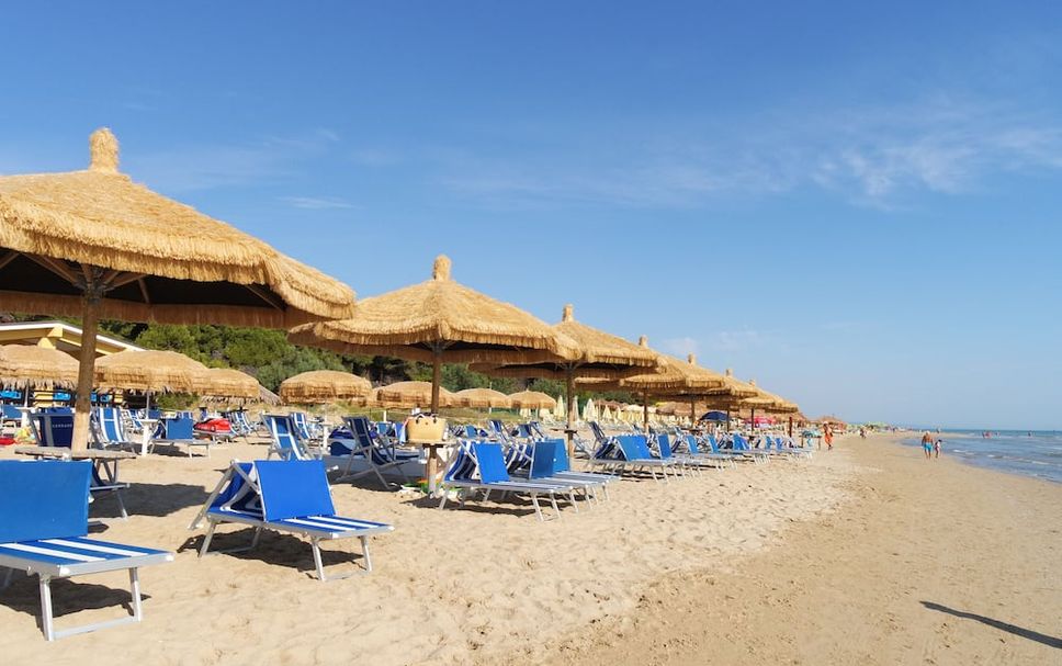 Beach Photo