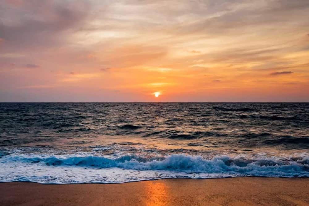 Beach Photo