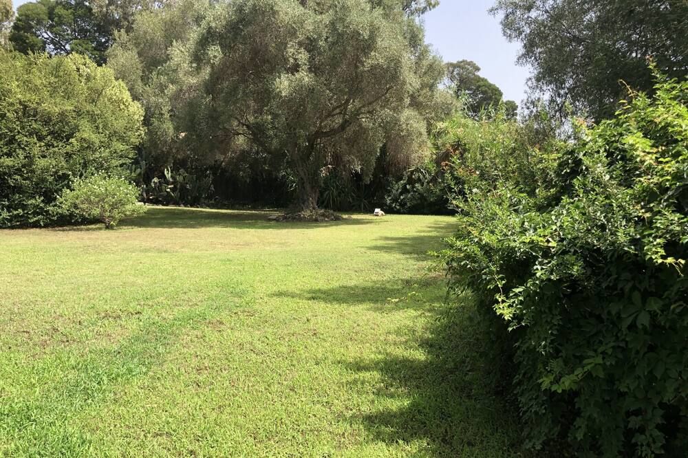 Outdoor view