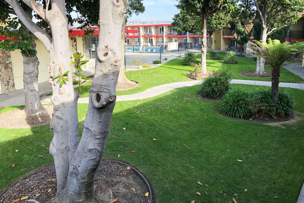 Outdoor view