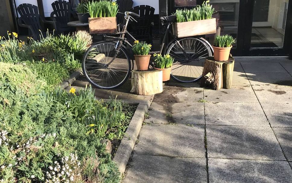 Patio Photo
