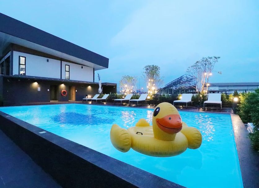 Pool Photo