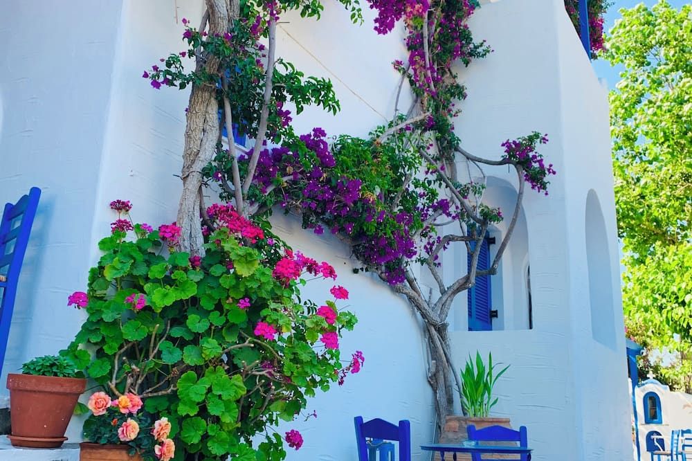 Outdoor view