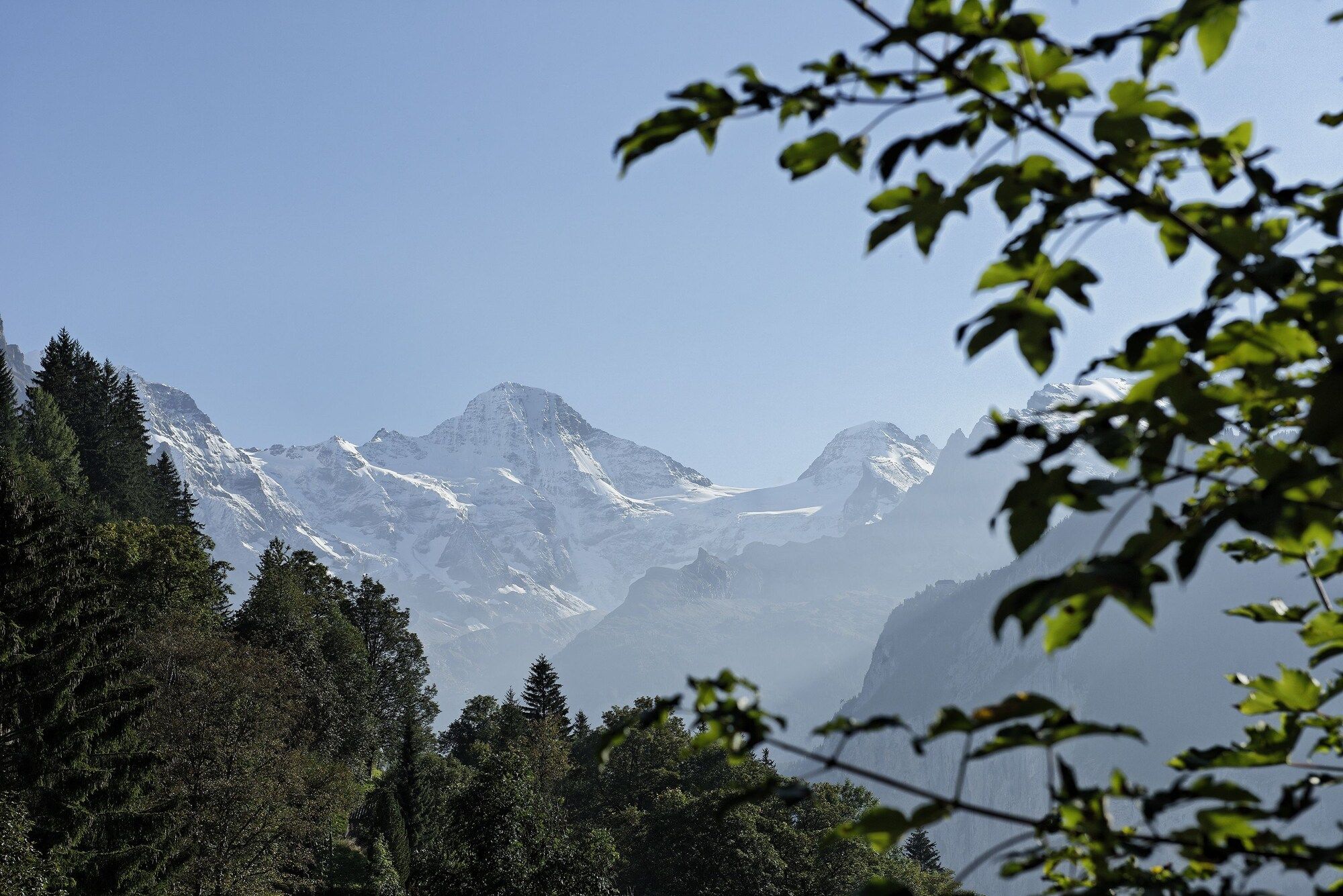 Outdoor view