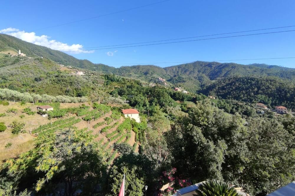 Outdoor view
