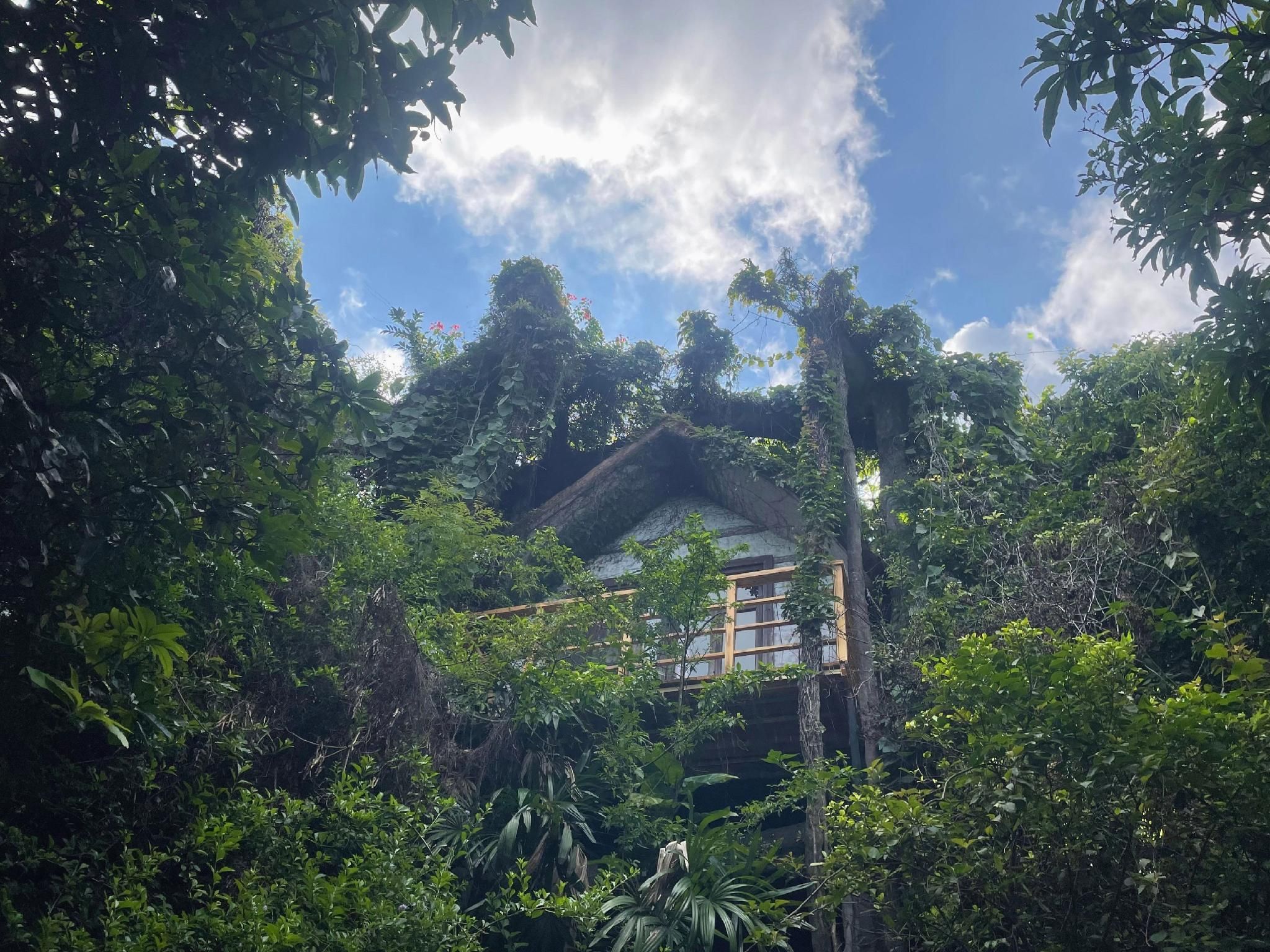 Outdoor view