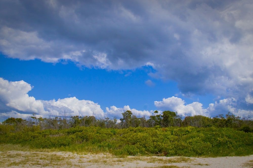 Outdoor view