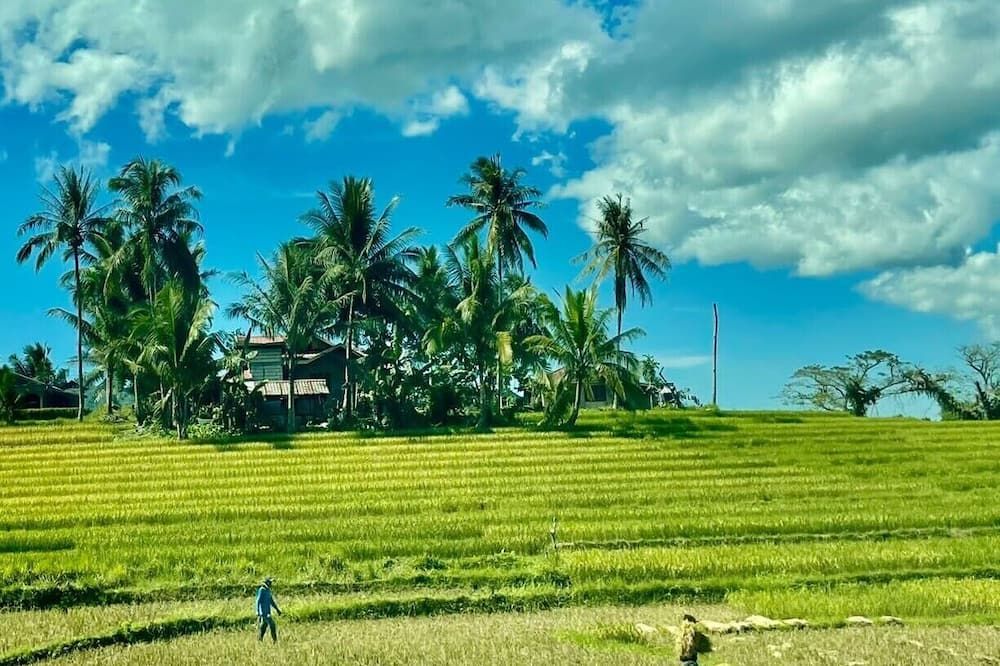 Outdoor view