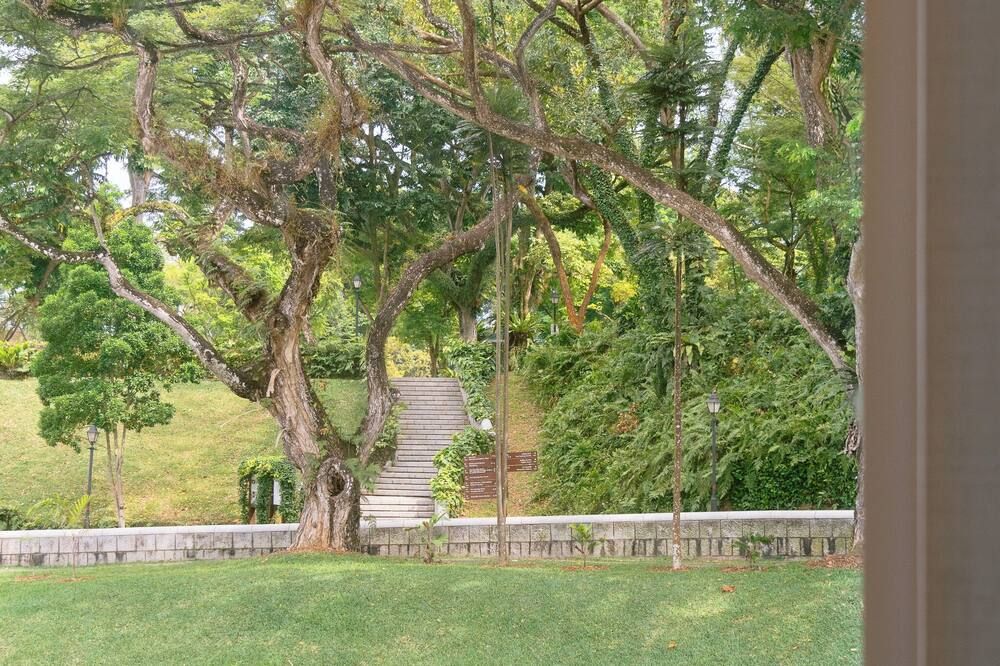 Outdoor view