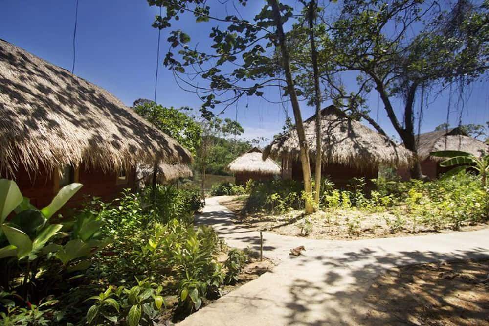 Outdoor view