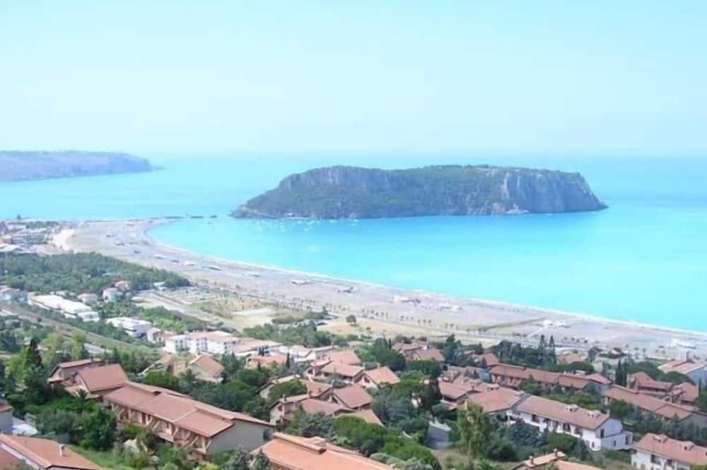 Other Photo