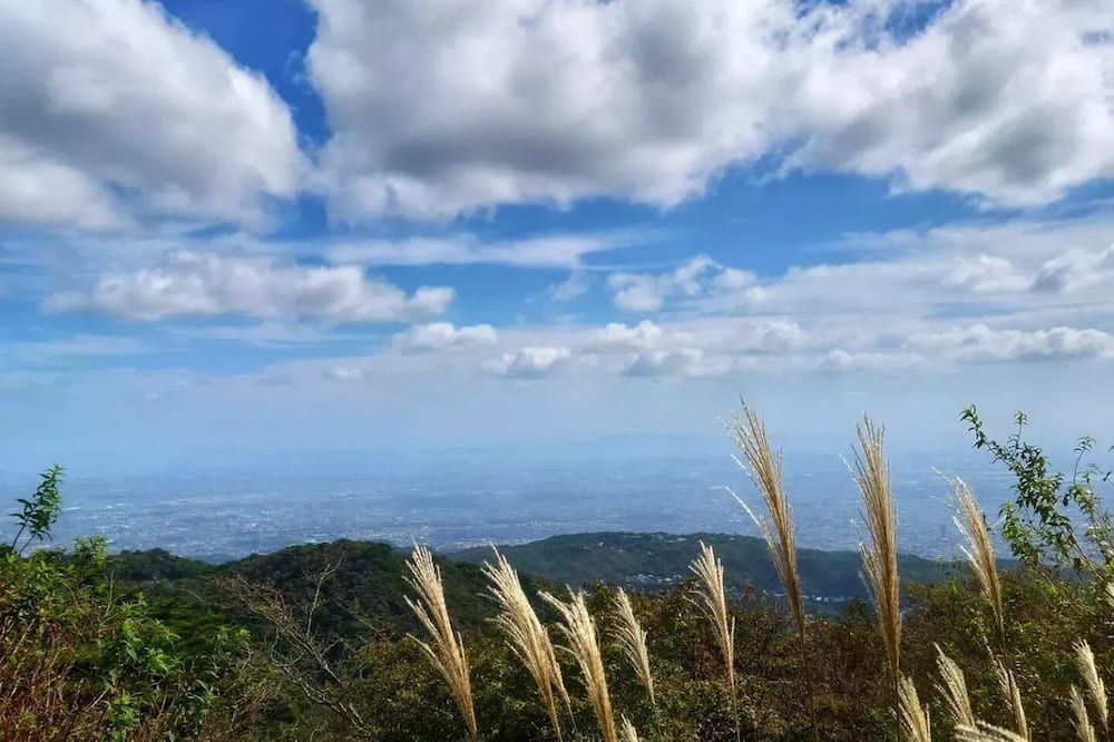 Outdoor view