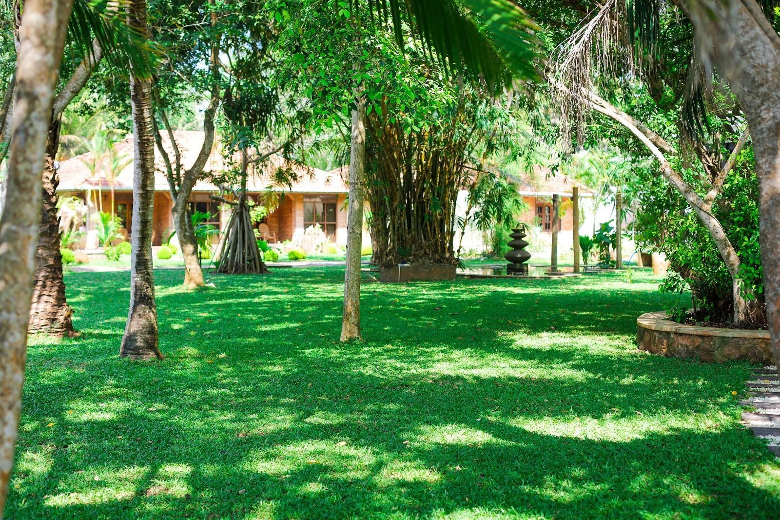 Outdoor view